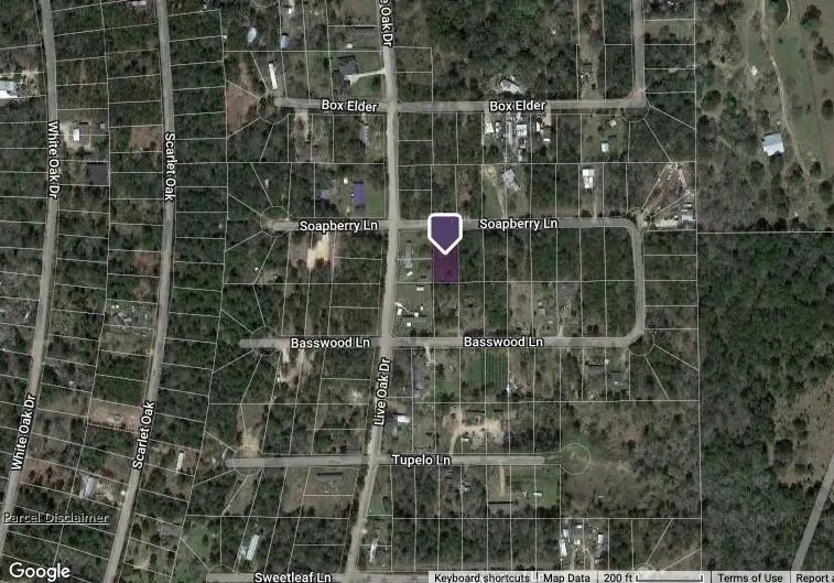 0 Soapberry Lane, Plantersville, TX 77363 - Image #2