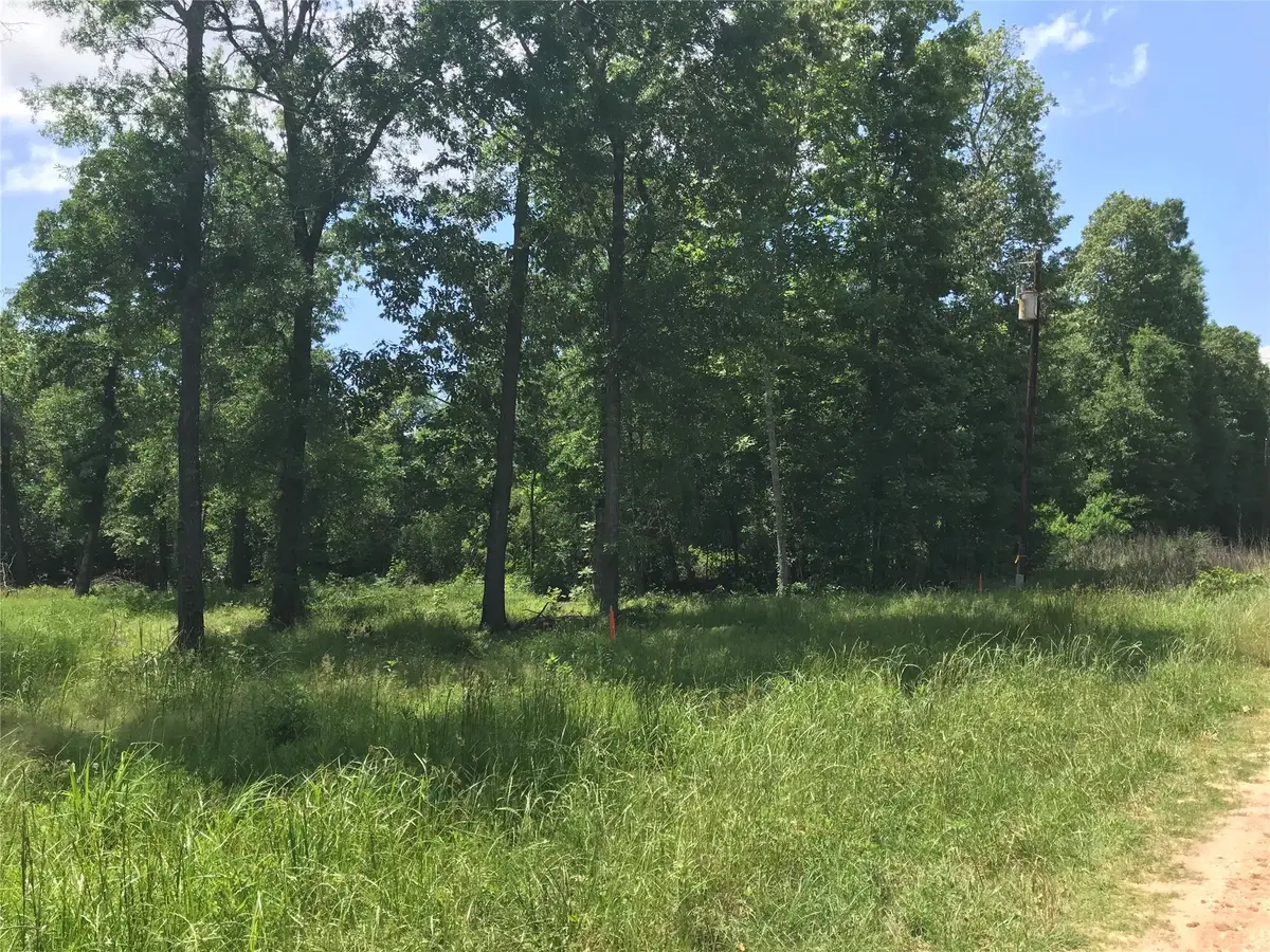 TBD Arrowhead Trail, Livingston, TX 77351 - Image #1