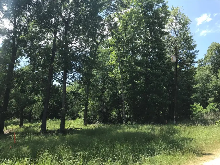 TBD Arrowhead Trail, Livingston, TX 77351 - Image #2