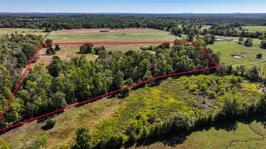 10736-1 Muskrat Road, Gilmer, TX 75644 - #2