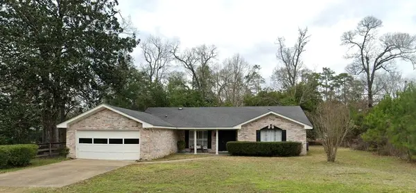 100 E Black Gum Lane, Village Mills, TX 77663