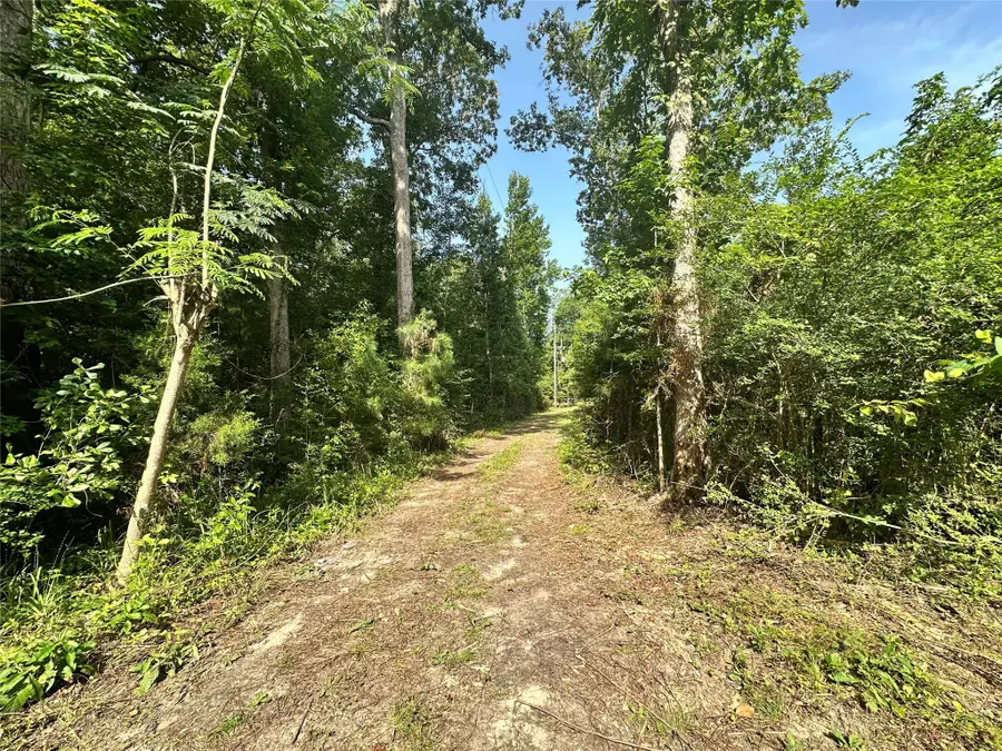 126 Pr 6790, Colmesneil, TX 75938 - Image #2