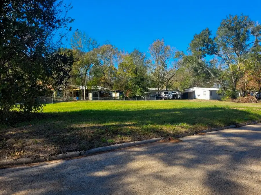 601 Earnest Carrington Sr Avenue, Cleveland, TX 77327 - Image #3