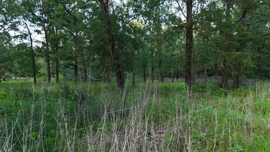 TBD Panther Lane, Livingston, TX 77351 - Image #2