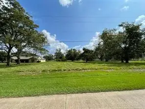 317 Wagon Wheel Trail, Angleton, TX 77515 - #1