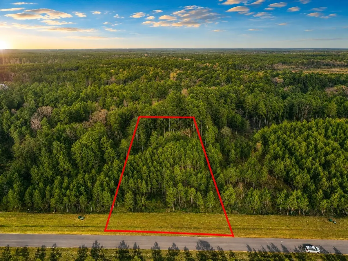 15762 Wood Grove Way, Willis, TX 77378 - #1