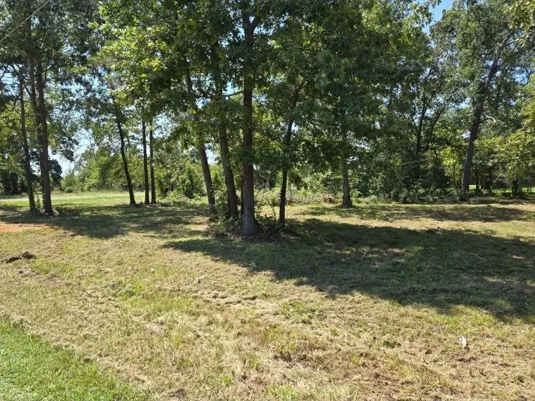 Lot 3 S Fm 980, Point Blank, TX 77364 - Image #1