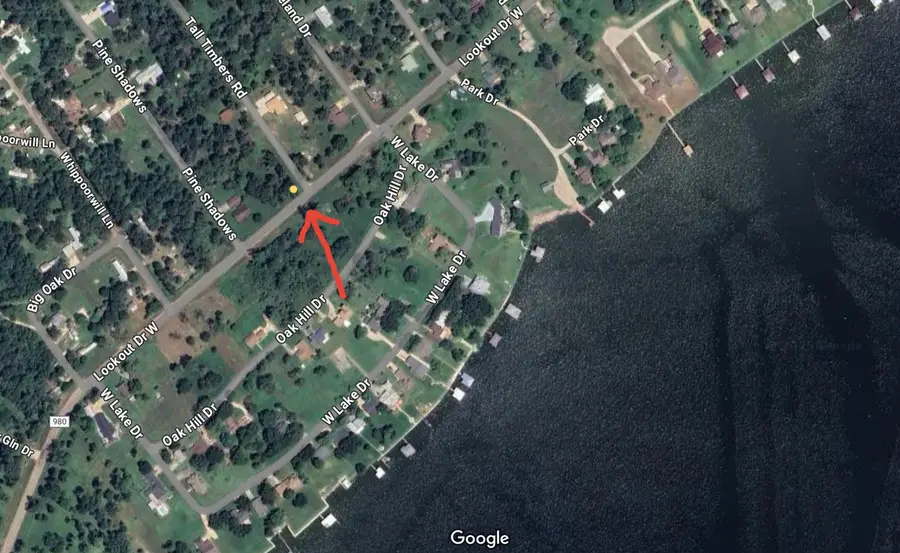 Lot 3 S Fm 980, Point Blank, TX 77364 - Image #2