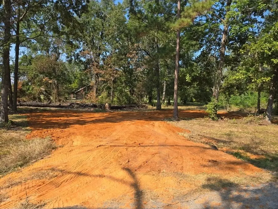 Lot 3 S Fm 980, Point Blank, TX 77364 - Image #3