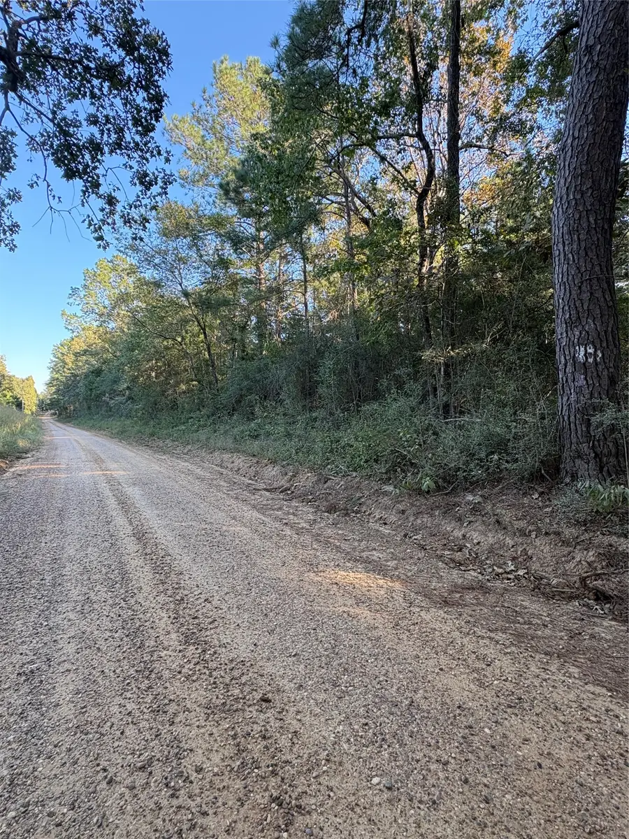 TBD Menard Chapel Road, Livingston, TX 77351 - #2