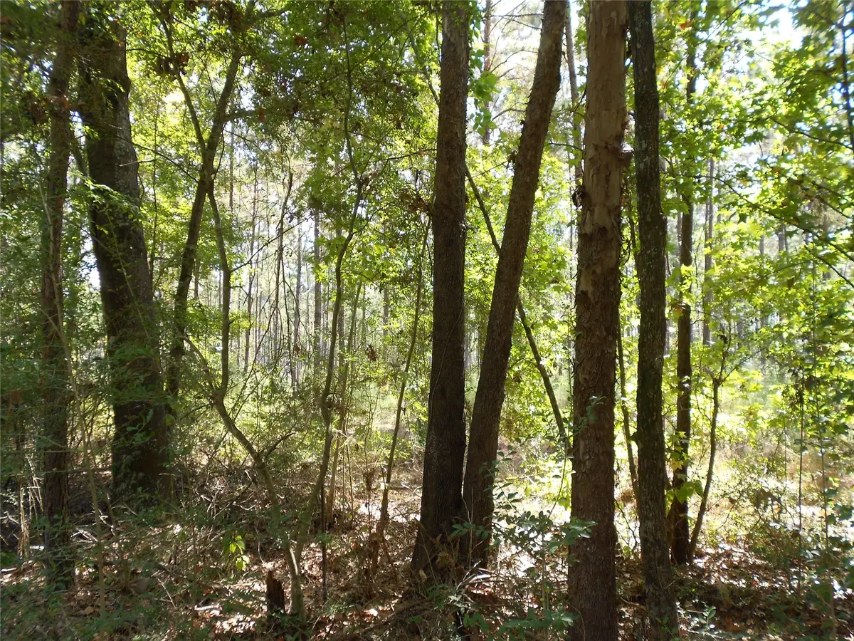 5150 Josserand Road, Groveton, TX 75845 - Image #1