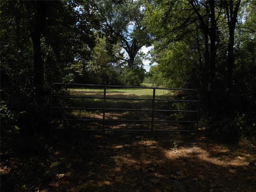 5150 Josserand Road, Groveton, TX 75845 - Image #2