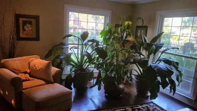 3328 Southmore Boulevard, Houston, TX 77004 - Image #3