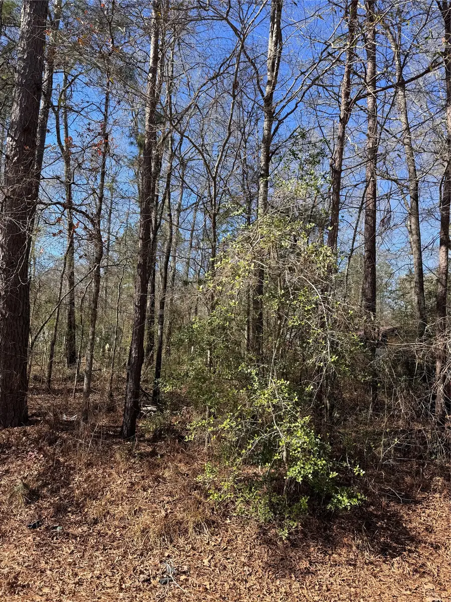 tbd Jaycrest, Livingston, TX 77351 - Image #3