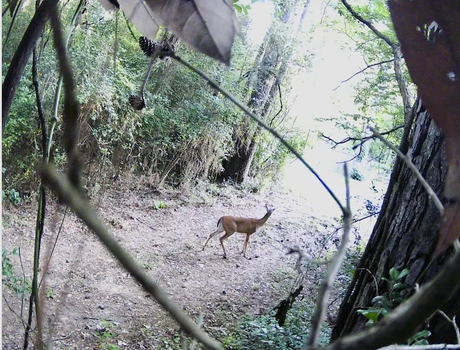 000 St Lawrence River Rd, Conroe, TX 77316 - Image #2