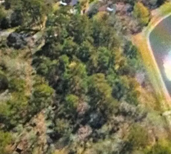 000 St Lawrence River Rd, Conroe, TX 77316 - Image #3