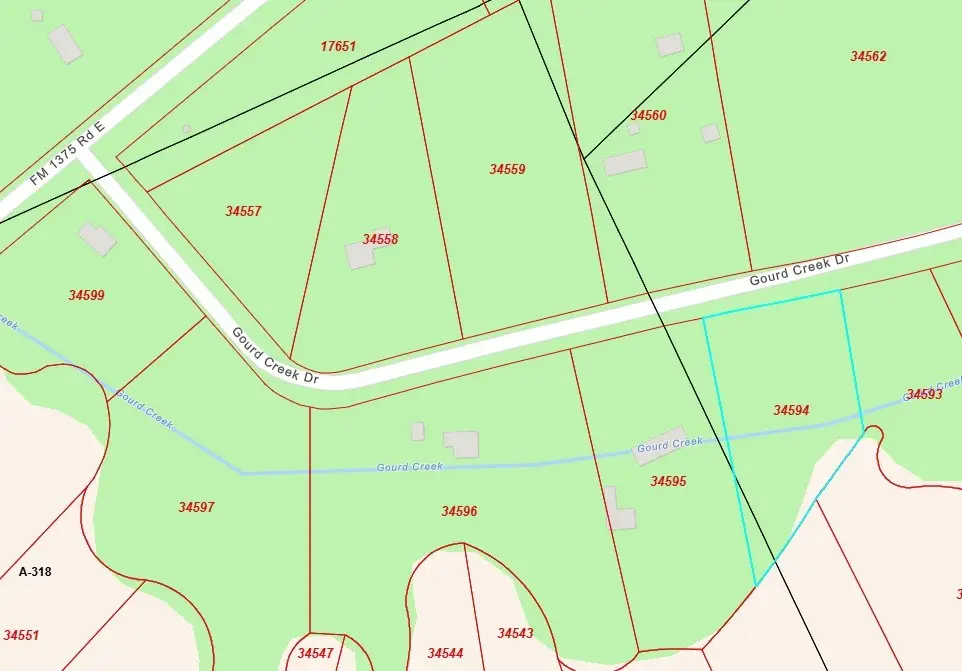 33 Gourd Creek Drive, Huntsville, TX 77340 - #1