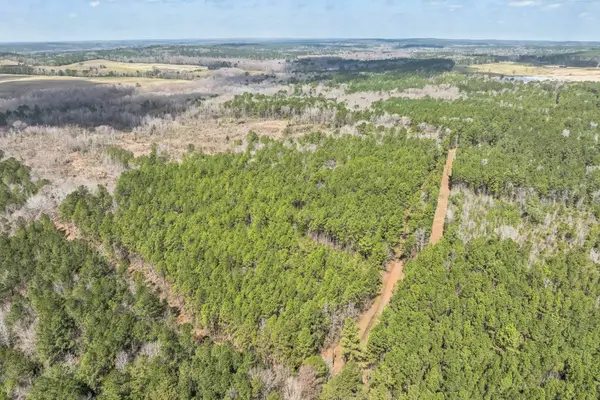 0 Sid Dennis Lane, San Augustine, TX 75972