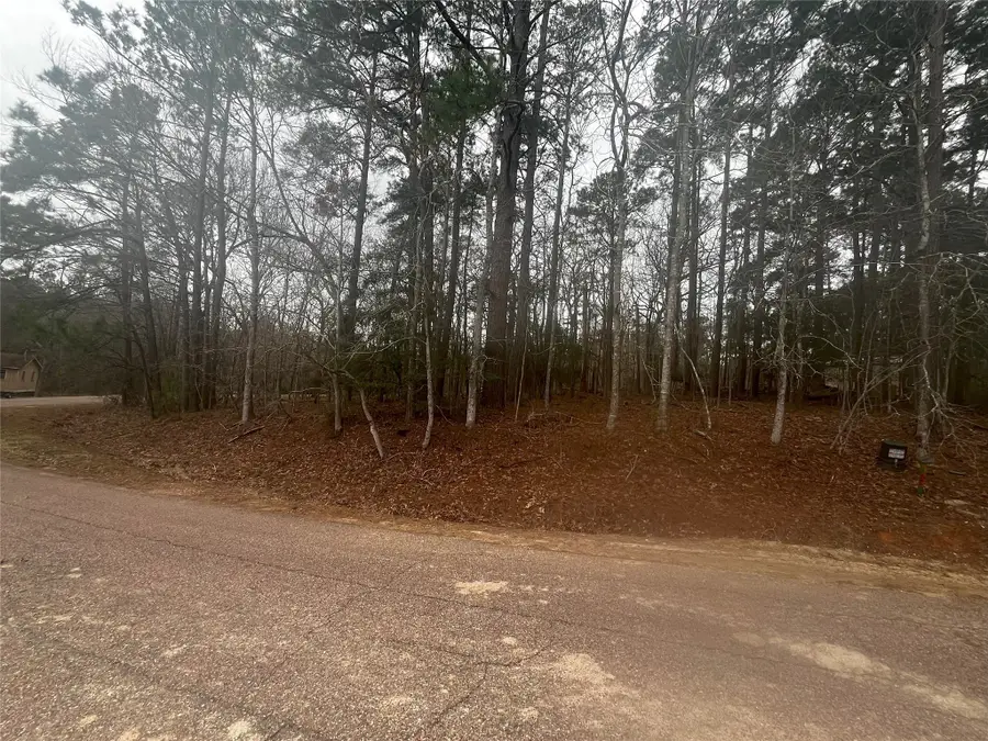 101 S Royale Greens Drive, Coldspring, TX 77331 - Image #3