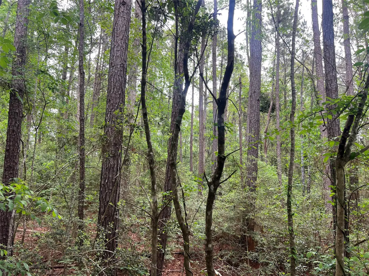 TBD The Ole Barney Road, Livingston, TX 77351 - #1