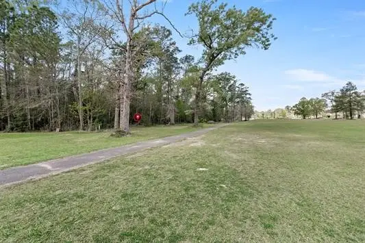 000 Lakeview Drive, Sour Lake, TX 77659 - #1