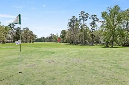 000 Lakeview Drive, Sour Lake, TX 77659 - #3