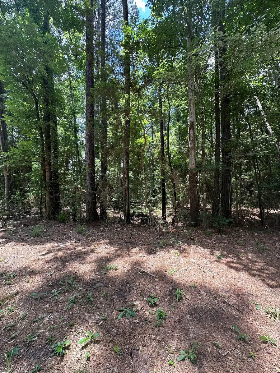 Lot 715 & Lot 716 N Royal Estates Drive, Conroe, TX 77303 - #2
