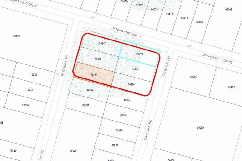 0 Dennis Peyton Road, Shepherd, TX 77371 - Image #2