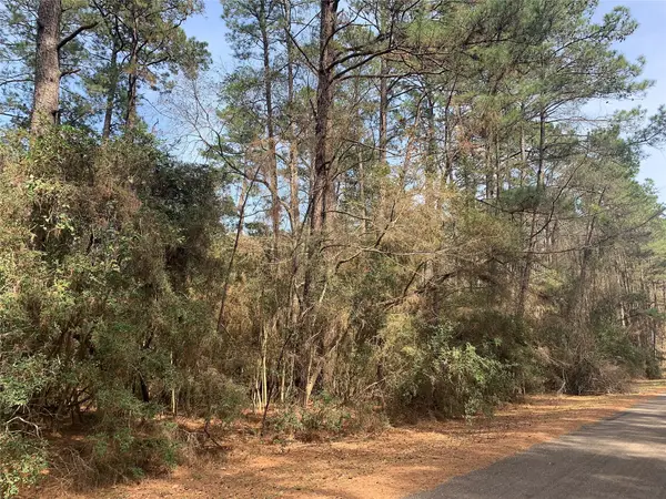 19 Pavlock Road, Navasota, TX 77868