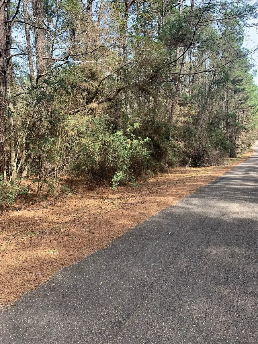 19 Pavlock Road, Navasota, TX 77868 - #2