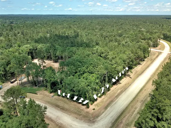 258 Heartland Road, New Waverly, TX 77358