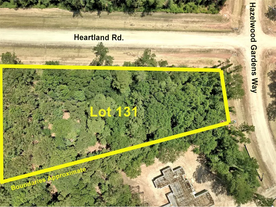 258 Heartland Road, New Waverly, TX 77358 - #2