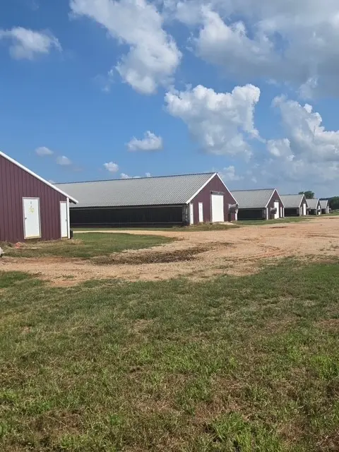 7421 Cr 234, Nacogdoches, TX 75961