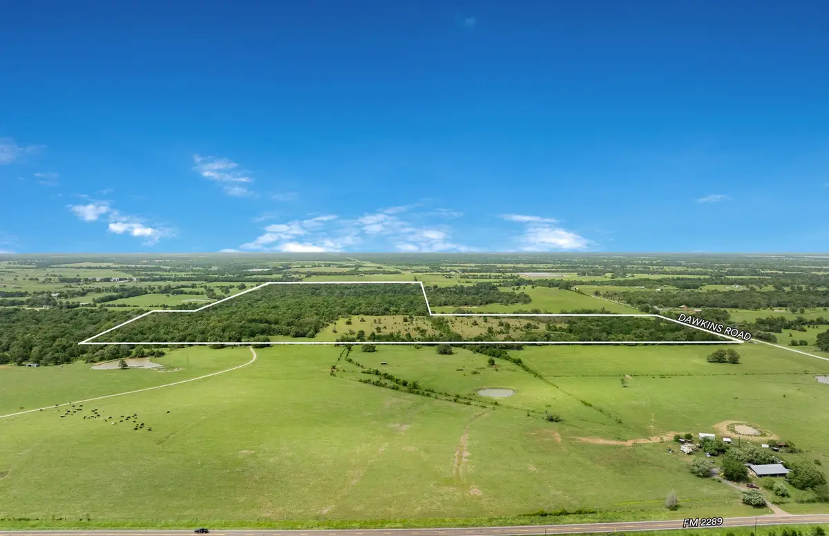 +/- 200 AC Dawkins Road, Bloomington, TX 77871 - Image #1