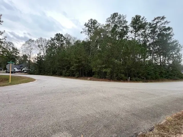 27702 Colapis Drive, Splendora, TX 77372 - Image #2