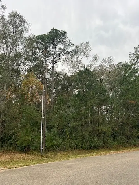 27702 Colapis Drive, Splendora, TX 77372 - Image #3