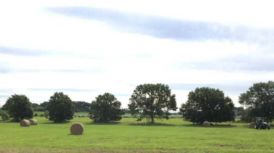 000 Nelson Road, Hempstead, TX 77445 - #3
