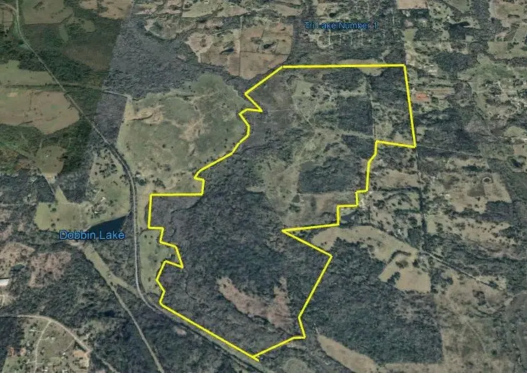 3920 Spring Branch Road, Montgomery, TX 77316 - #3