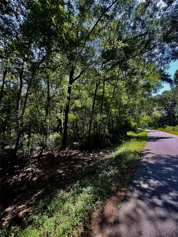 TBD Lot 1 Rolling Hills Drive, Porter, TX 77365