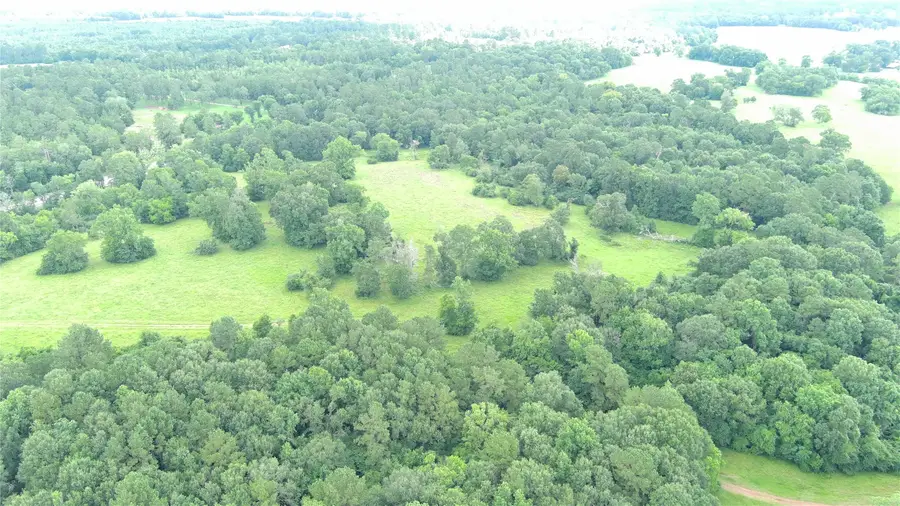 TBD E Tx-150 Highway, New Waverly, TX 77358 - Image #3