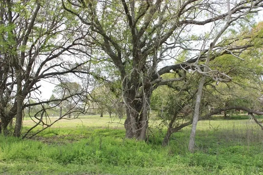 852 CR 303 Green Avenue, Palacios, TX 77465 - #2