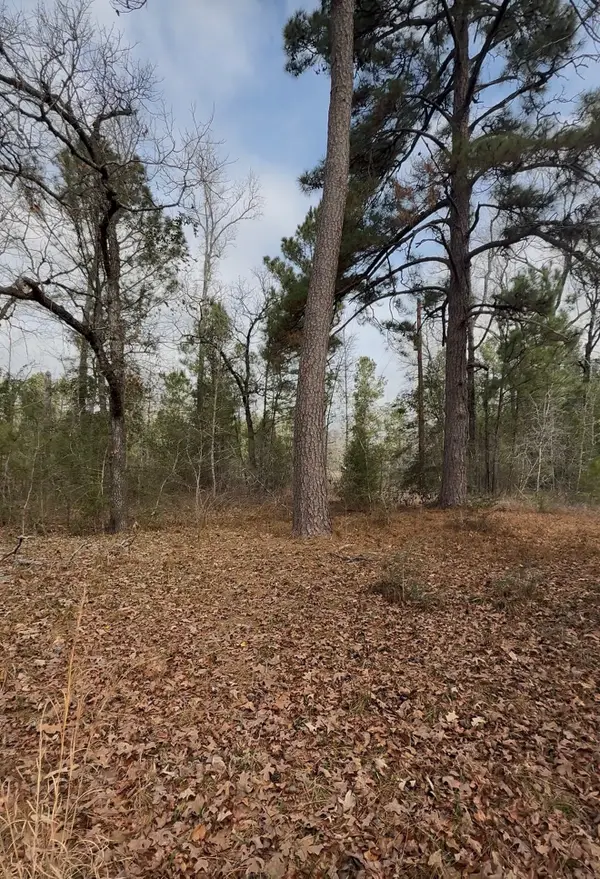 24159 Weeren Road, Montgomery, TX 77316