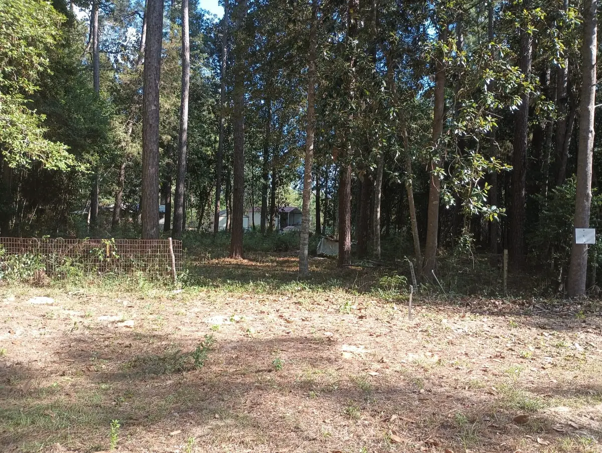 0 Wickford And Little John, Ivanhoe, TX 75447 - Image #1