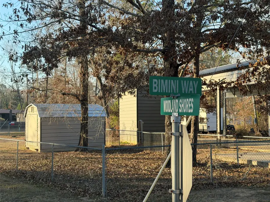 TBD Bimini Way - Woodland Shores Drive, Point Blank, TX 77364 - #2