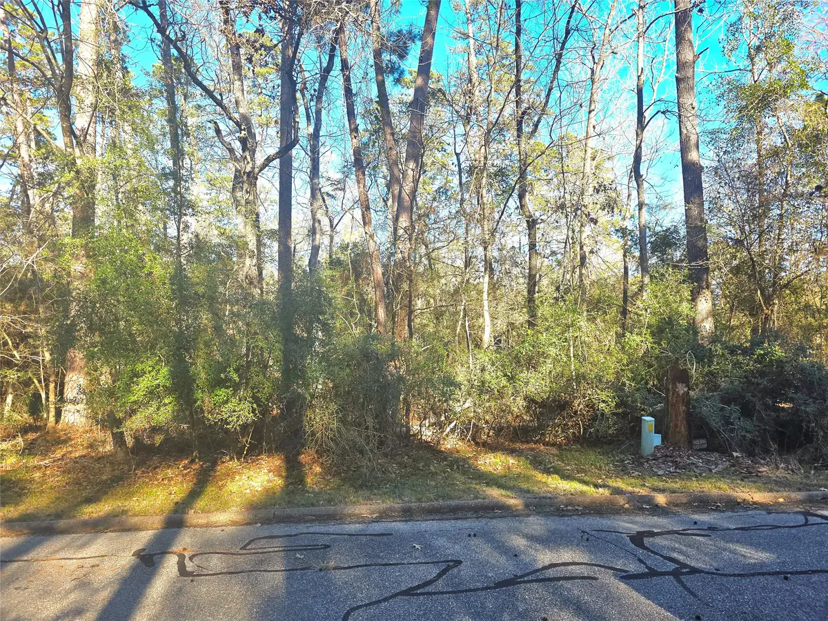 TBD Burmuda Dune Drive, Huntsville, TX 77320 - #1