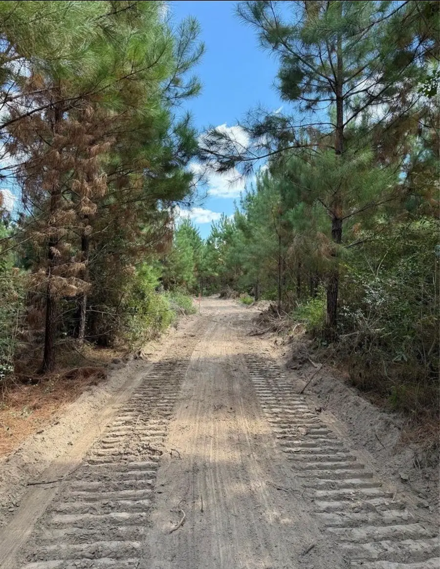 002 Bracewell Cemetery Road, Livingston, TX 77351 - #3