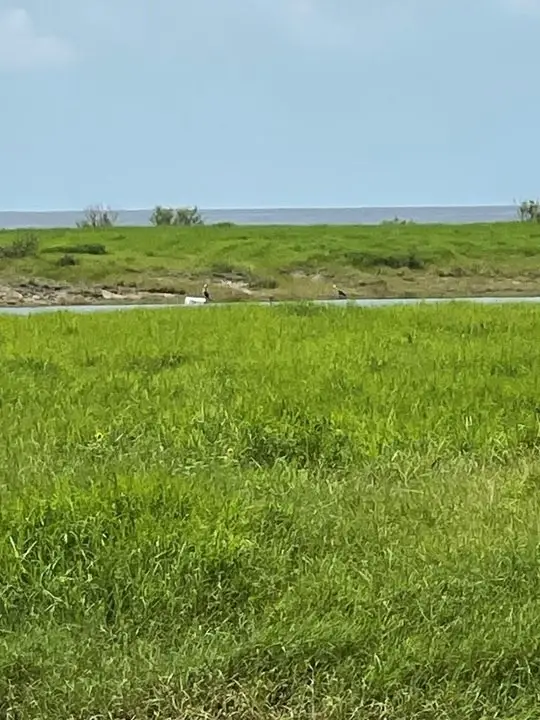 3419 Camp Hulen Drive, Palacios, TX 77465 - Image #2