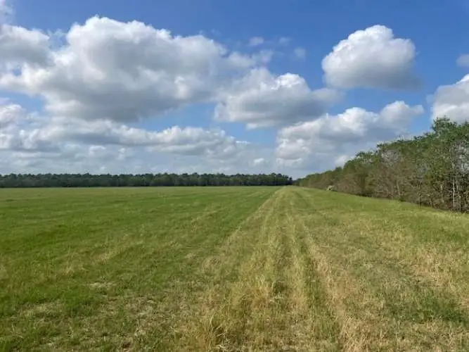 0 Peters Road, Crosby, TX 77532 - Image #3