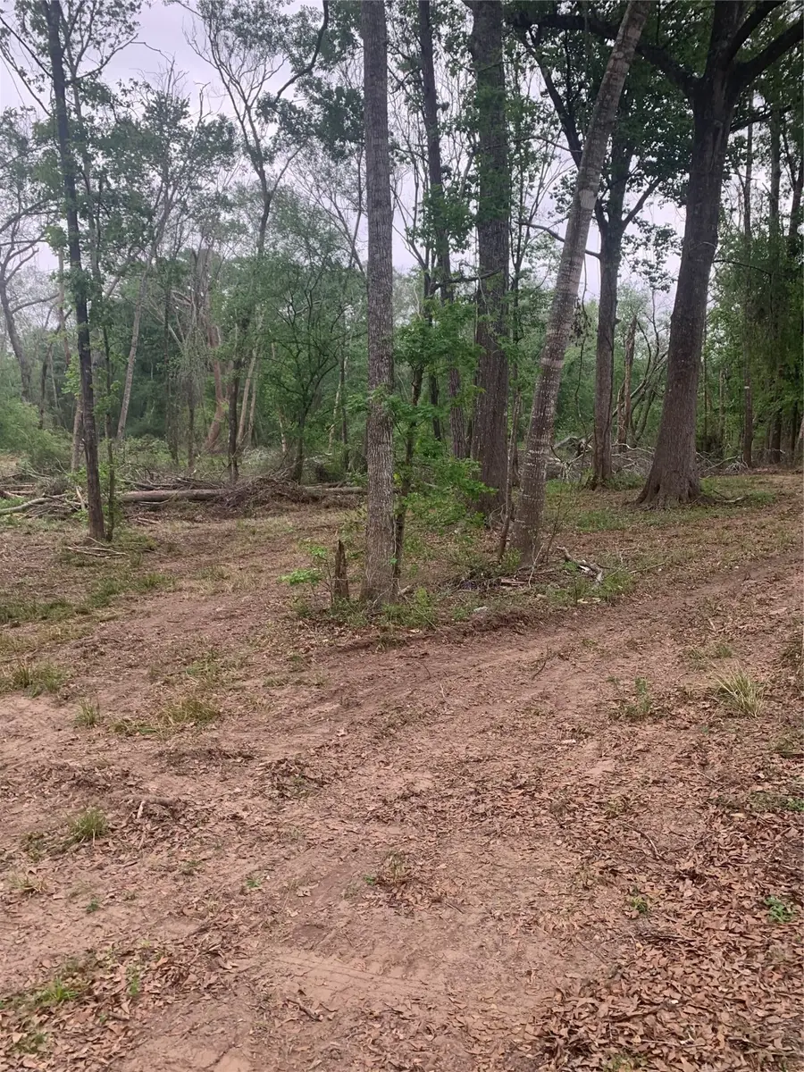 00 Lakewood Dr, Splendora, TX 77372 - Image #2