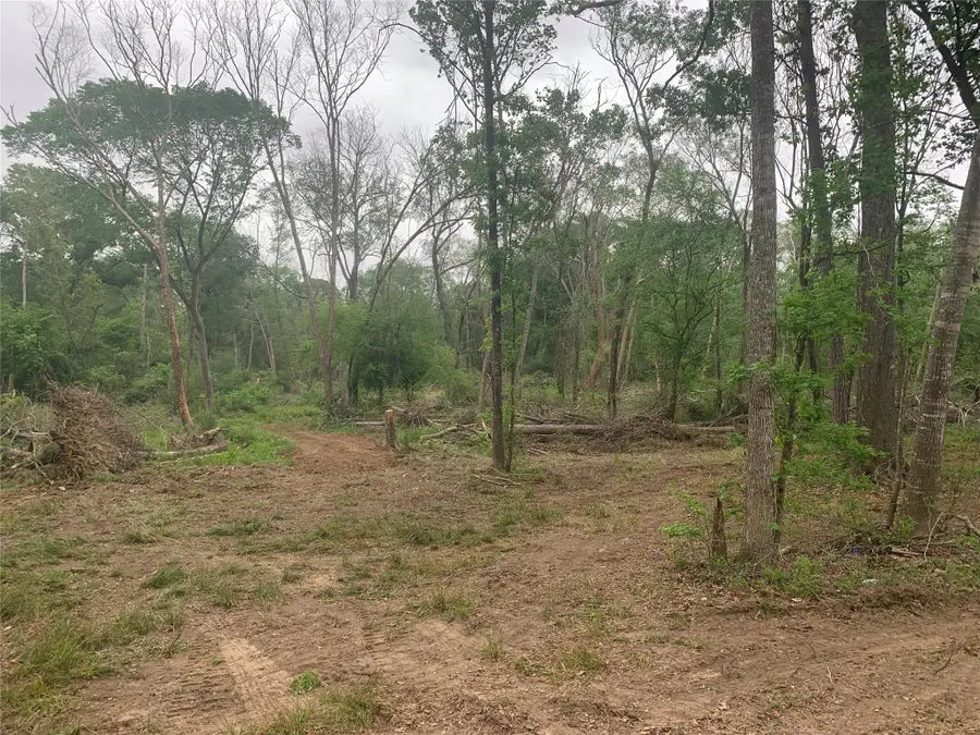 00 Lakewood Dr, Splendora, TX 77372 - Image #3